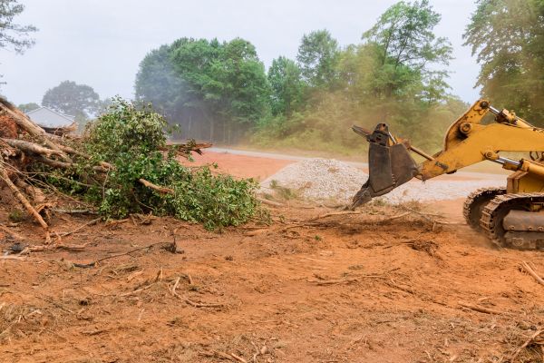 Ground Clearing in Layton