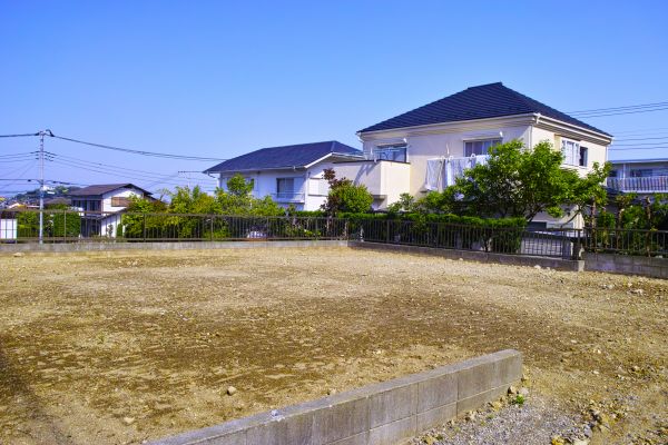 Cost of Lot Clearing Service in Layton