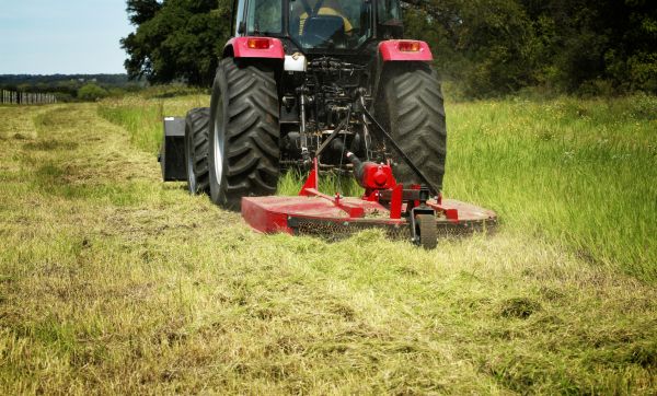 Brush Clearing Service in Layton