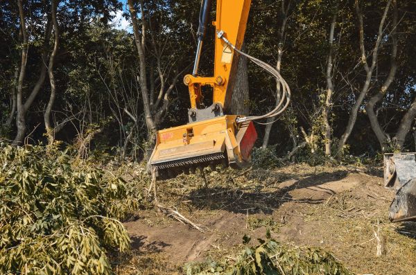 Brush Removal Service in Layton