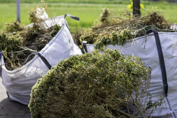 Cost of Bushes Clearing in Layton