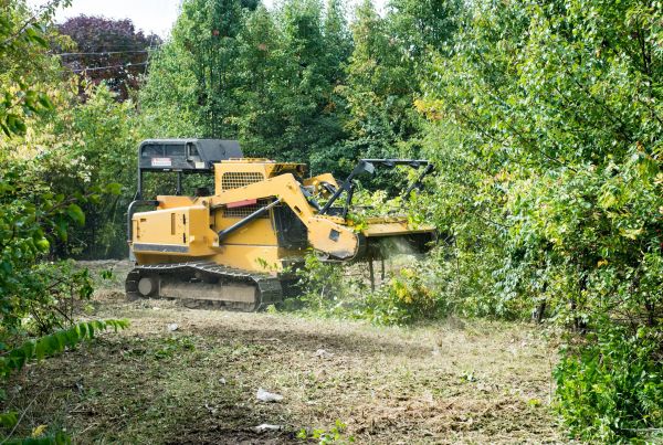 Cost of Pathway Clearing in Layton