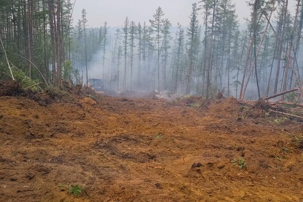 Cost of Hill Clearing in Layton