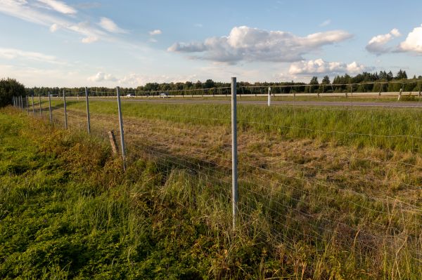 Cost of Property Line Clearing in Layton