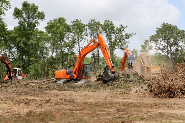 Cost of Commercial Lot Clearing in Layton