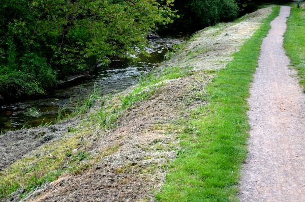 Cost of Trail Cutting in Layton