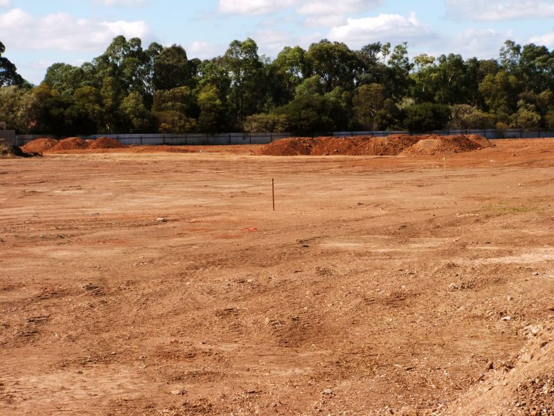 Clearing Site Overview